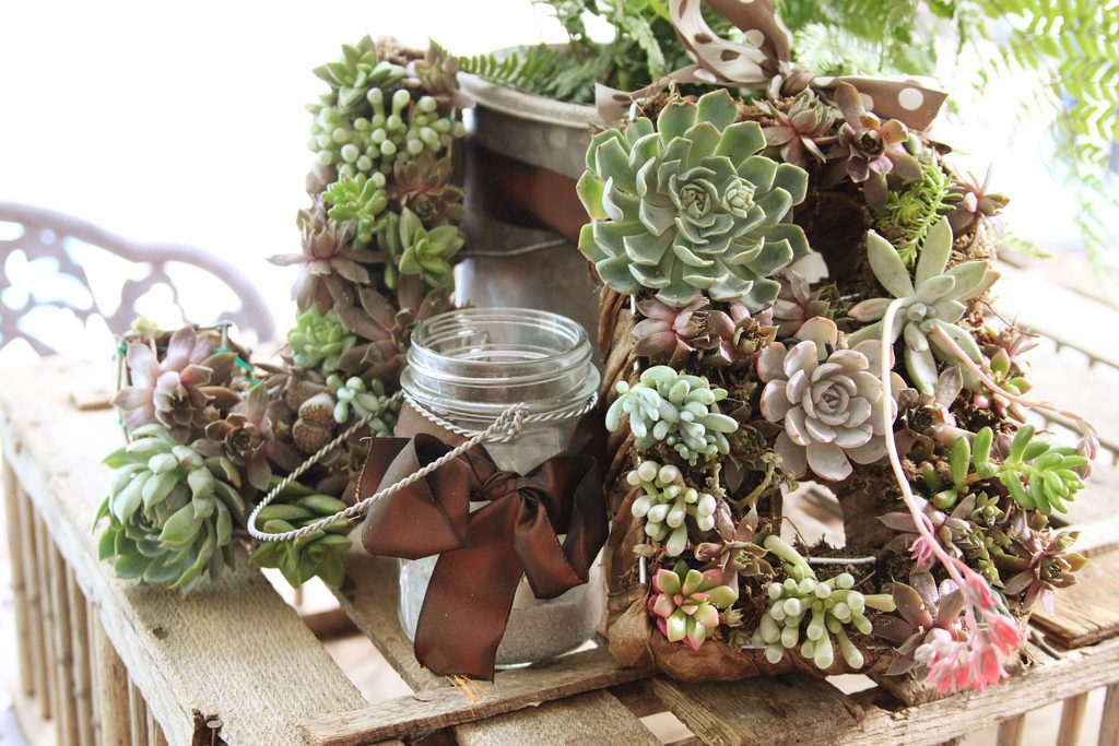 DIY Succulent Wreath Tutorial 