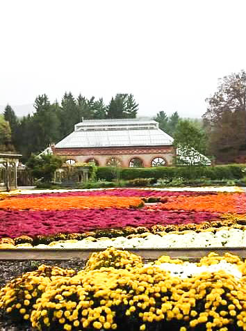 biltmore gardens