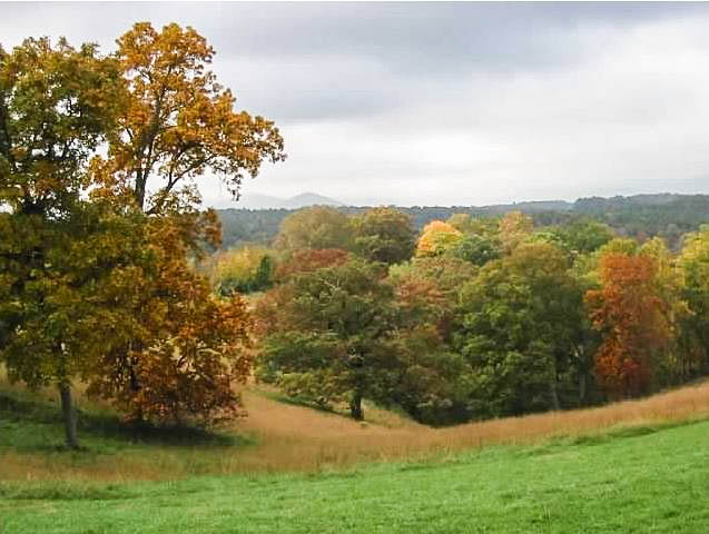 view from biltmore2