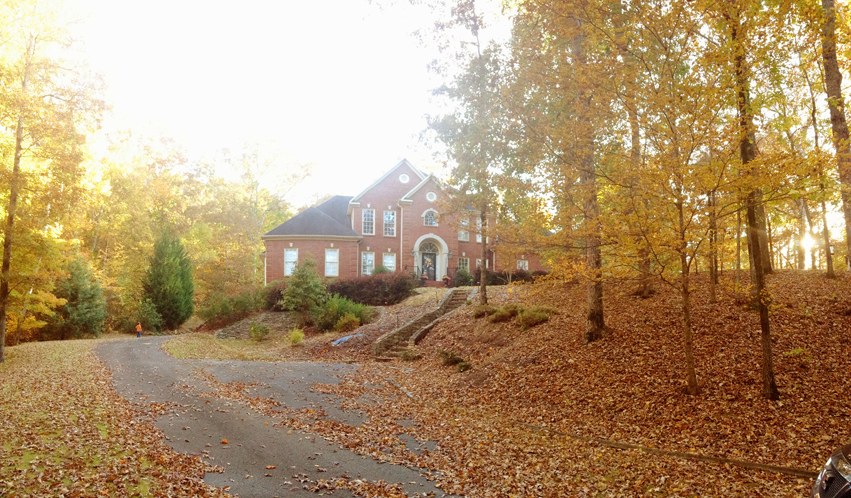 fall leaves on driveway