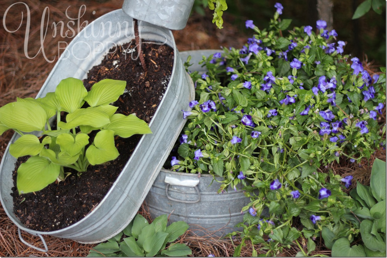 pinterest galvanized bucket stacked planter