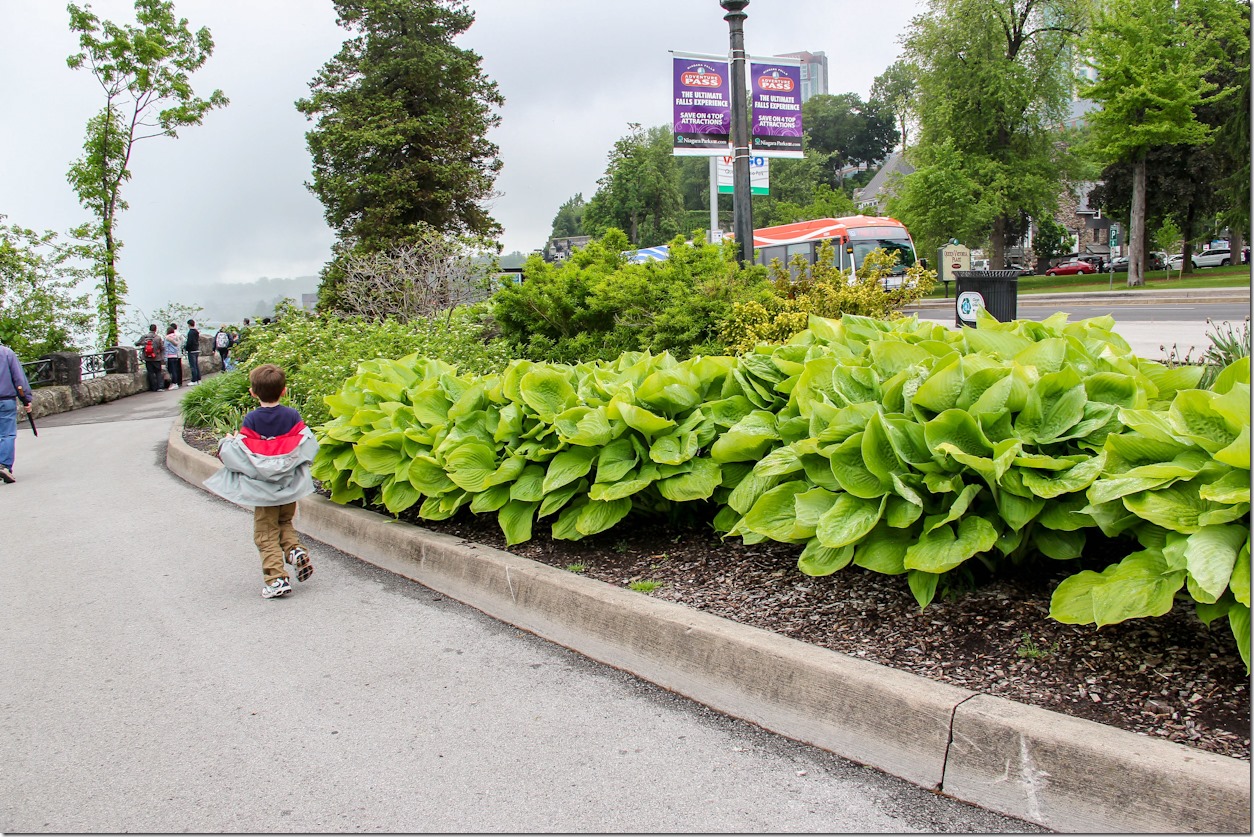 Niagara Falls 2013-35