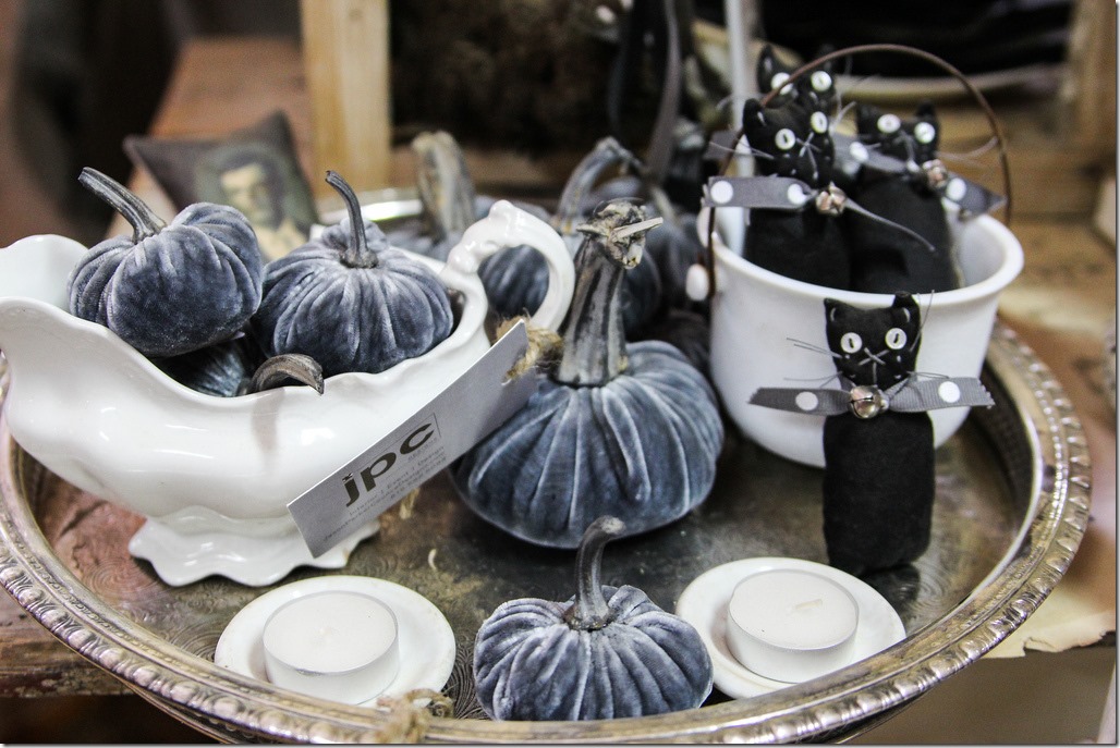 blue velvet pumpkins