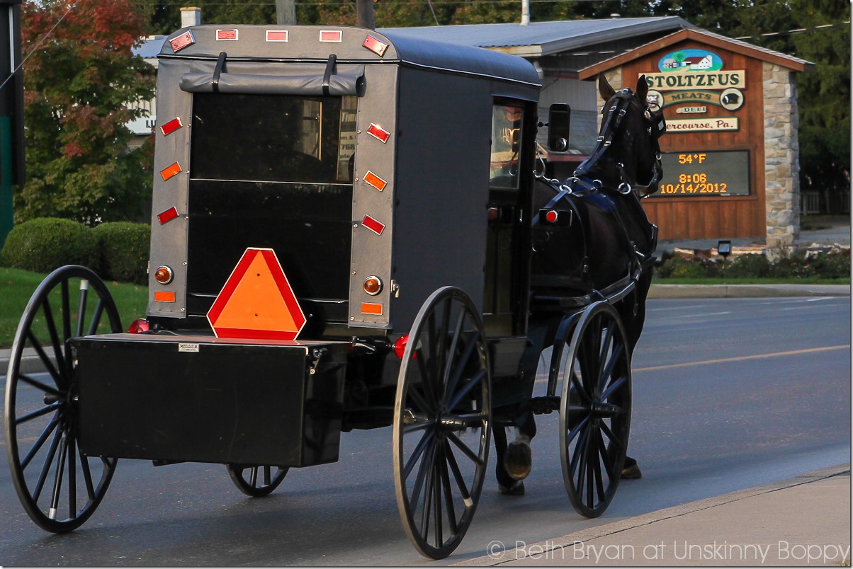 Intercourse, PA Amish Country at Kitchen Kettle Village-37