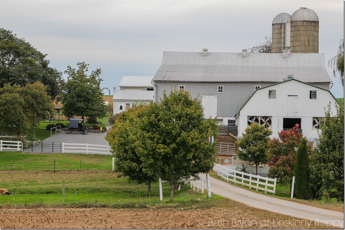 Intercourse, PA Amish Country at Kitchen Kettle Village-48