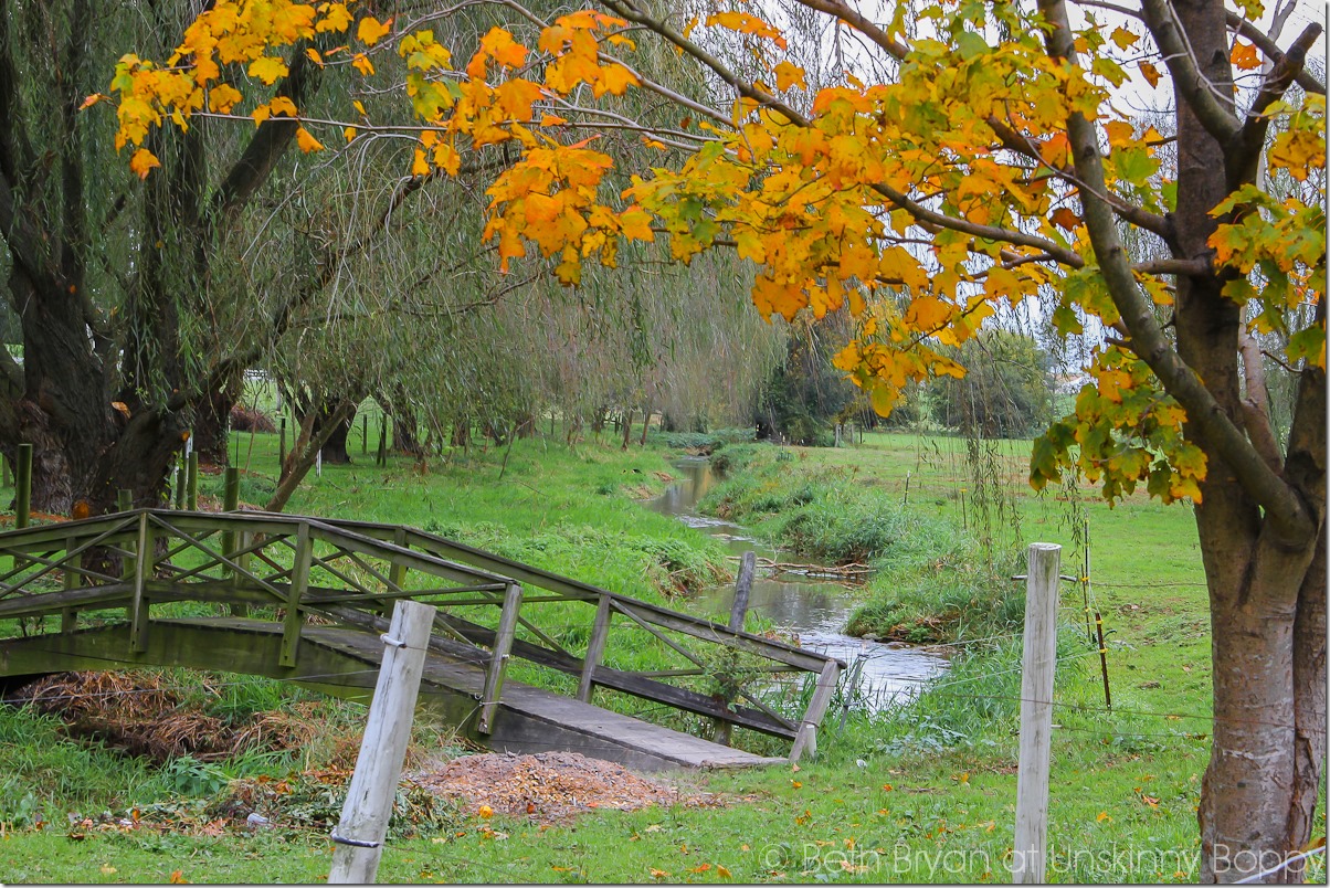 Autumn in Amish Country - Beth Bryan