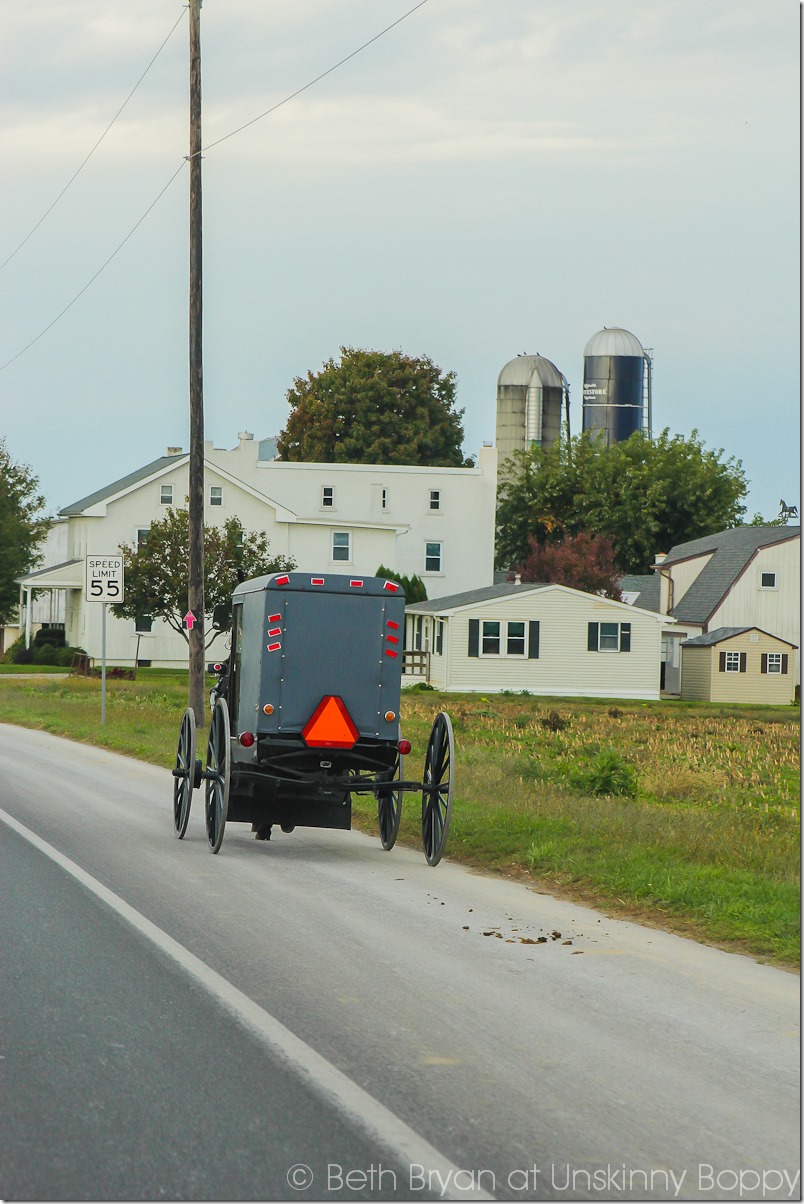 Intercourse, PA Amish Country at Kitchen Kettle Village-55