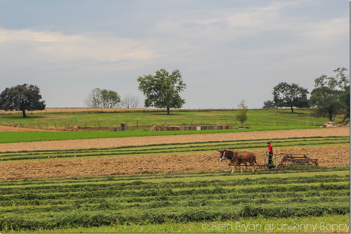 Pennsylvania Dutch Country lancaster co. PA-2