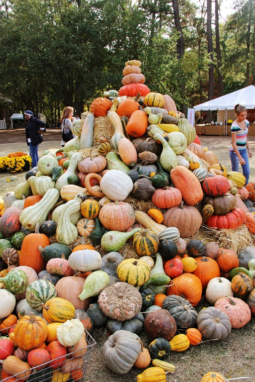 Pumpkin Pile at the Country Living Fair