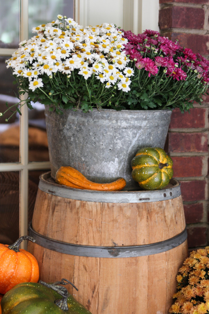 Old Whiskey barrel with galvanized bucket planter