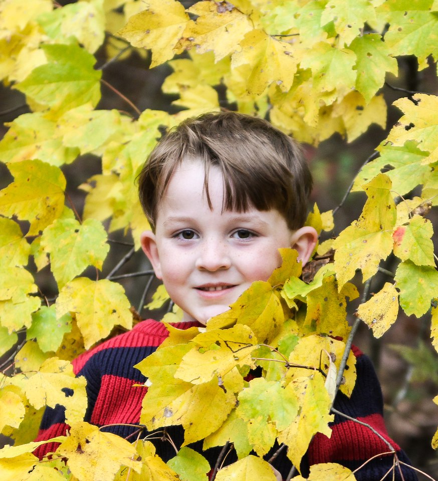 leaf peeper