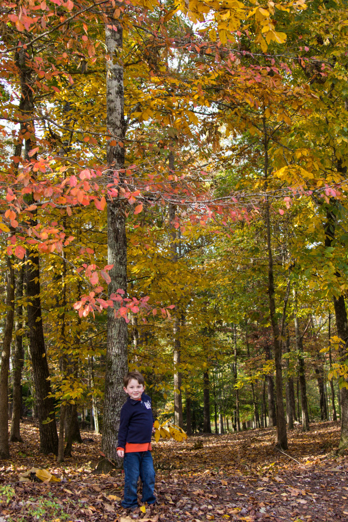 Garrett Fall Portraits 