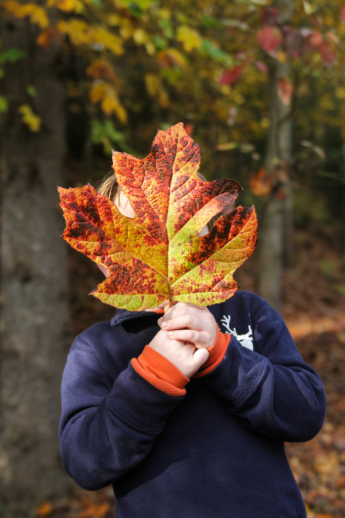 Garrett Fall Portraits 2013-9