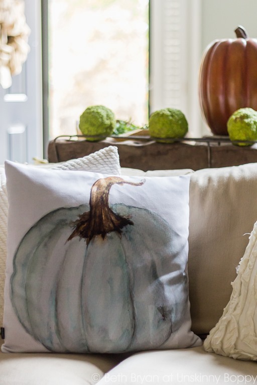 Pumpkin Pillow with Osage oranges