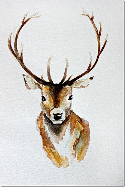 buck deer