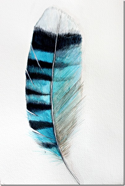 feather