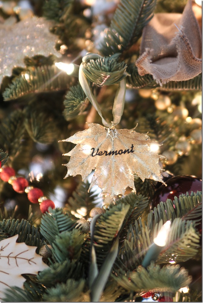 Balsam Fir Christmas Tree-4