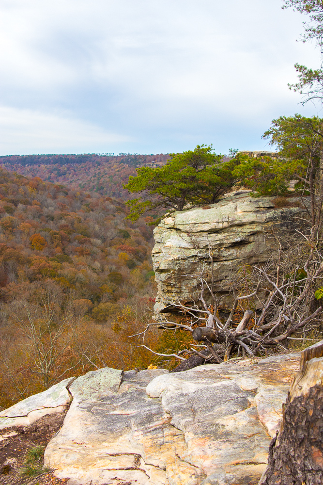 bucks-pocket-state-park