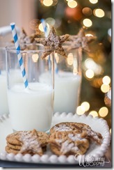 Milk and Cookies for Santa-2