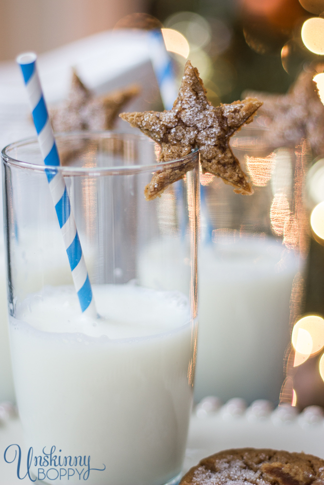 Milk and Cookies for Santa