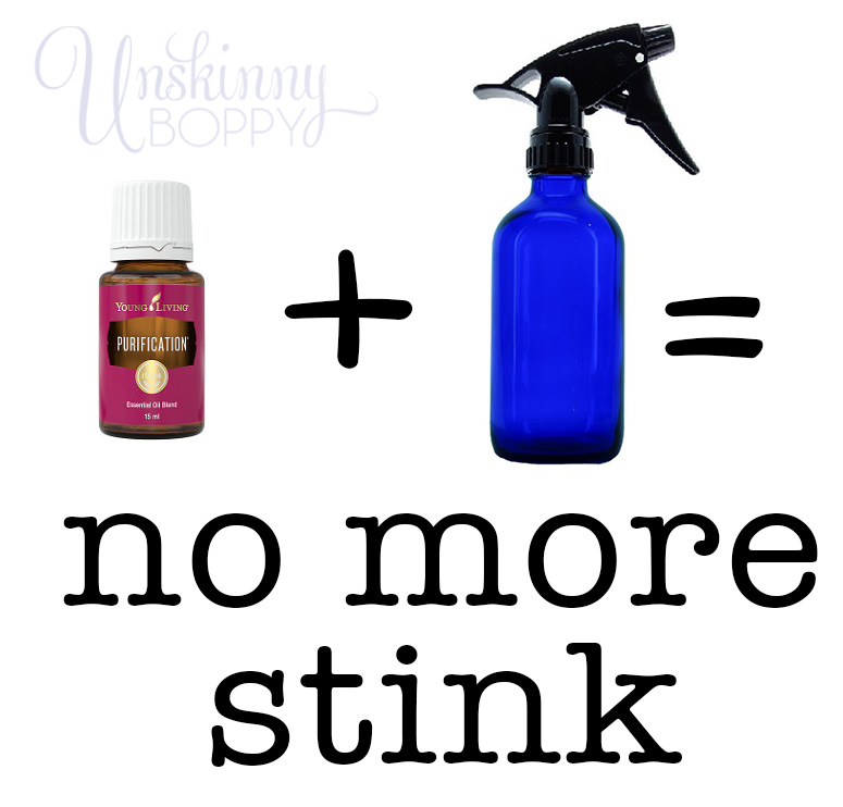 DIY stinky dog spray using Purification essential oil.