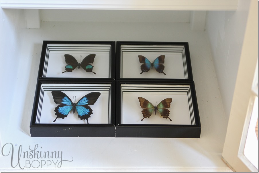 These special framed butterflies are gifts from my husband and this end table cabinet is the perfect place to display them. 