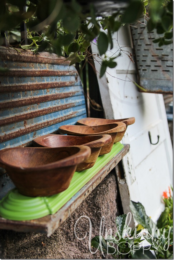 DIY wooden bowls planters with succulents and creeping jenny-1