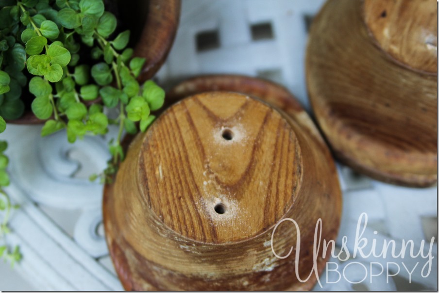 DIY wooden bowls planters with succulents and creeping jenny-2