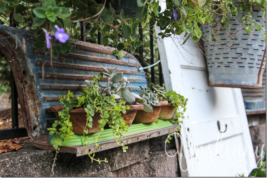 DIY wooden bowls planters with succulents and creeping jenny-3