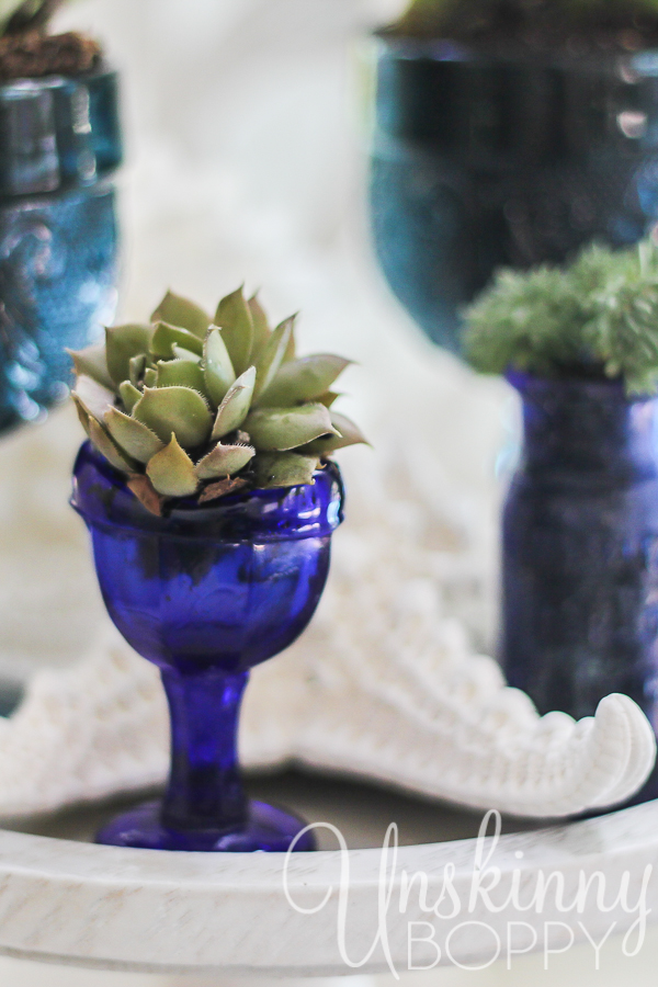 Succulent in an antique glass eye cup