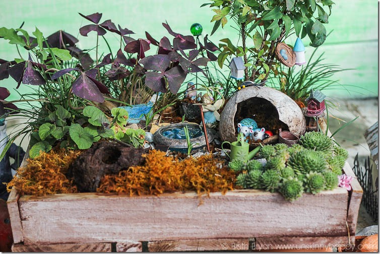 Amazing Fairy Garden Ideas-10