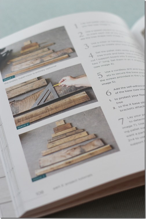 DIY Pallet Projects Book-3