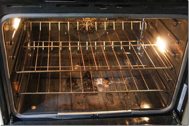 How to Clean an Oven with Young Living Thieves Household Cleaner