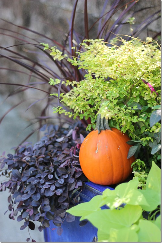 Decorating porches for Fall