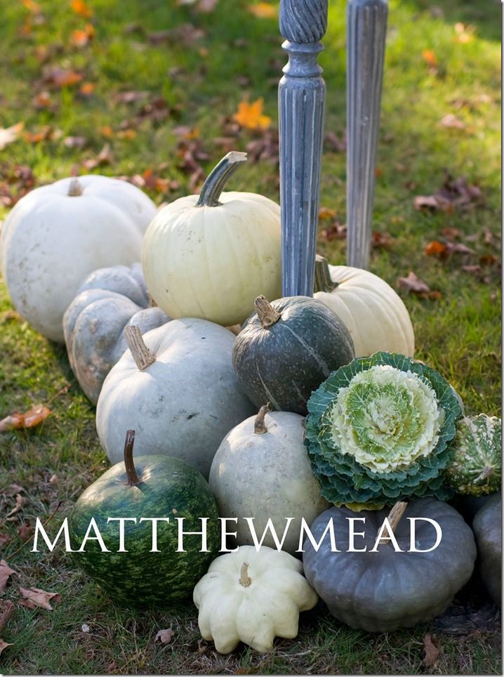 monochromatic pumpkins by Matthew Mead