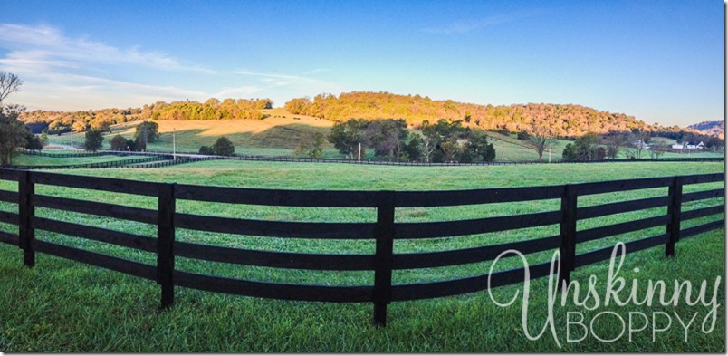 tennessee farmland-1