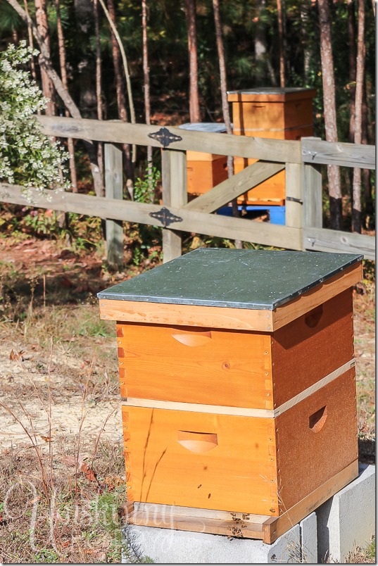 Blankenship Farms Bee Boxes