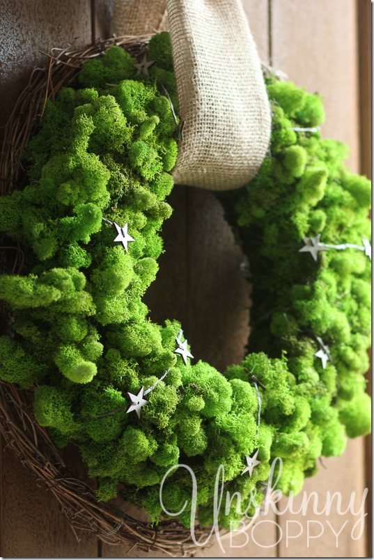 DIY Reindeer Moss Wreath-12