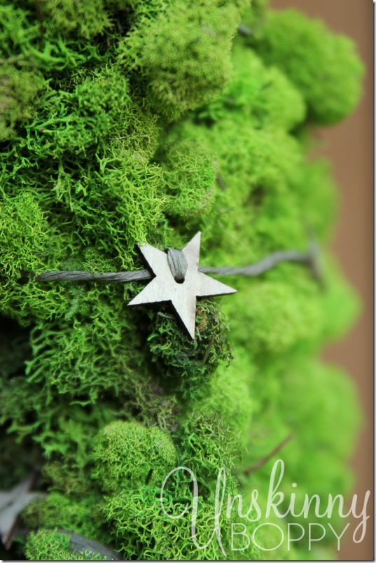 DIY Reindeer Moss Wreath-16