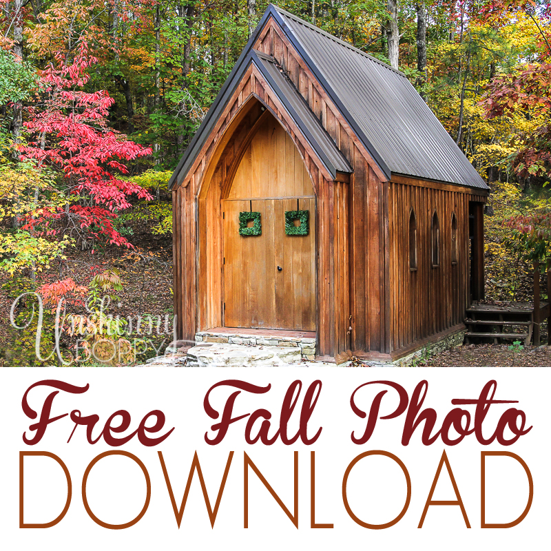 free fall photo download