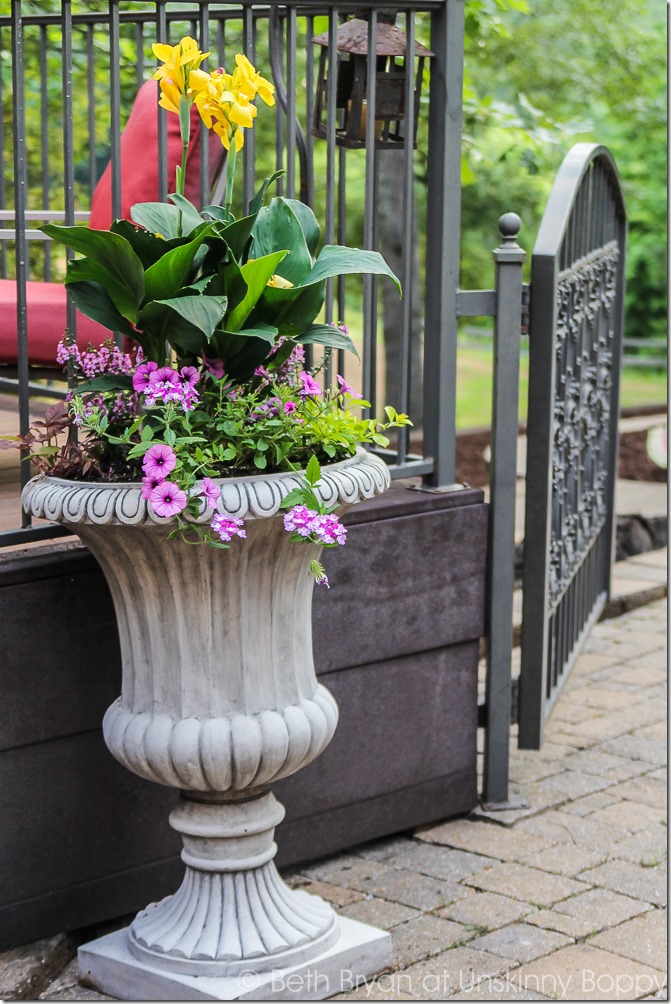 Pretty planters in the courtyard-13