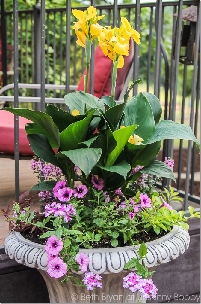 Pretty planters in the courtyard-14