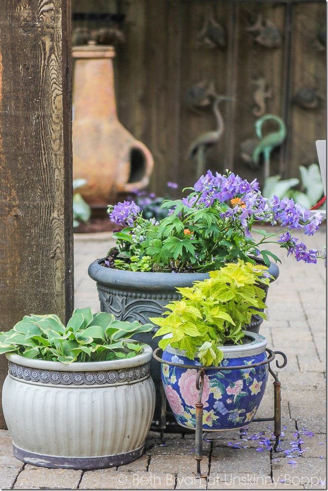 Pretty planters in the courtyard-15