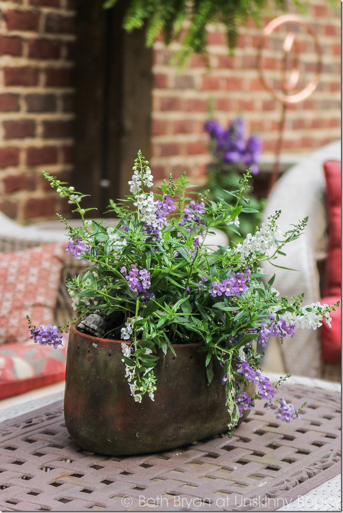 Pretty planters in the courtyard-16