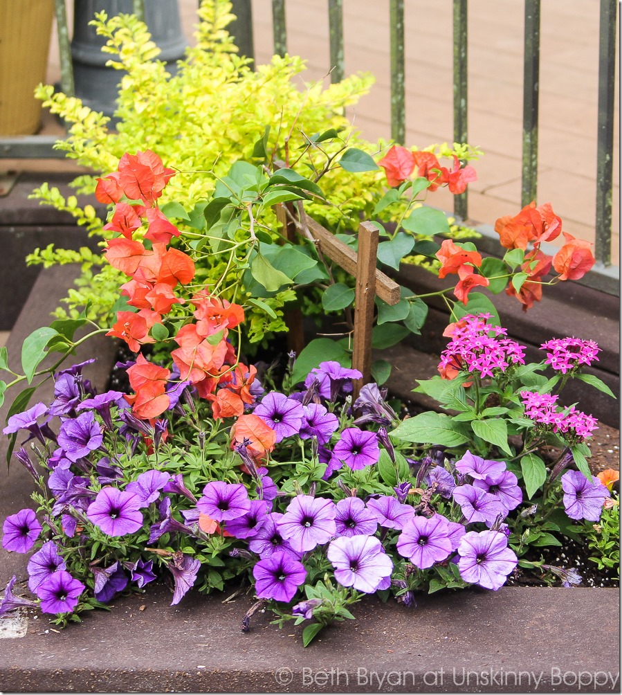 Pretty planters in the courtyard-18