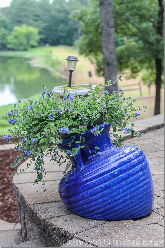 Pretty planters in the courtyard-6