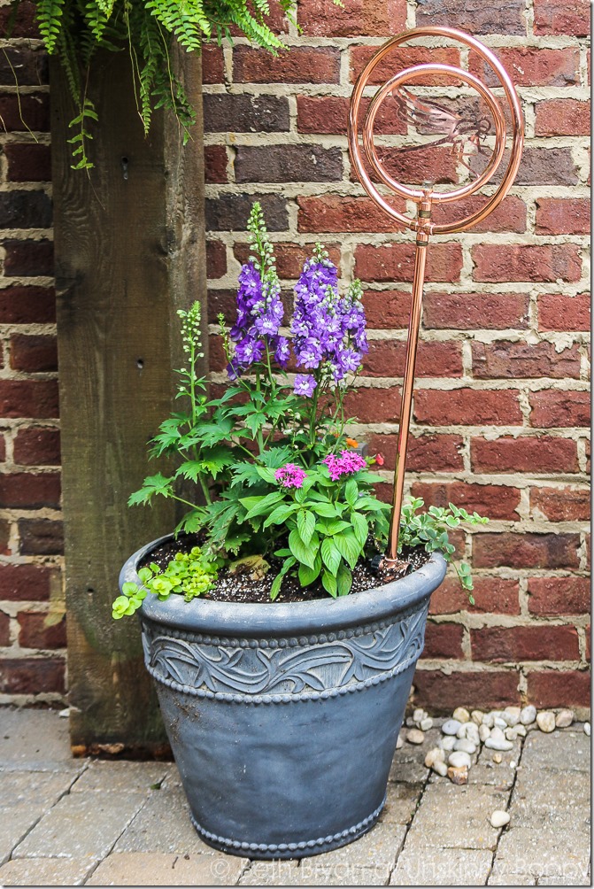 Pretty planters in the courtyard-9