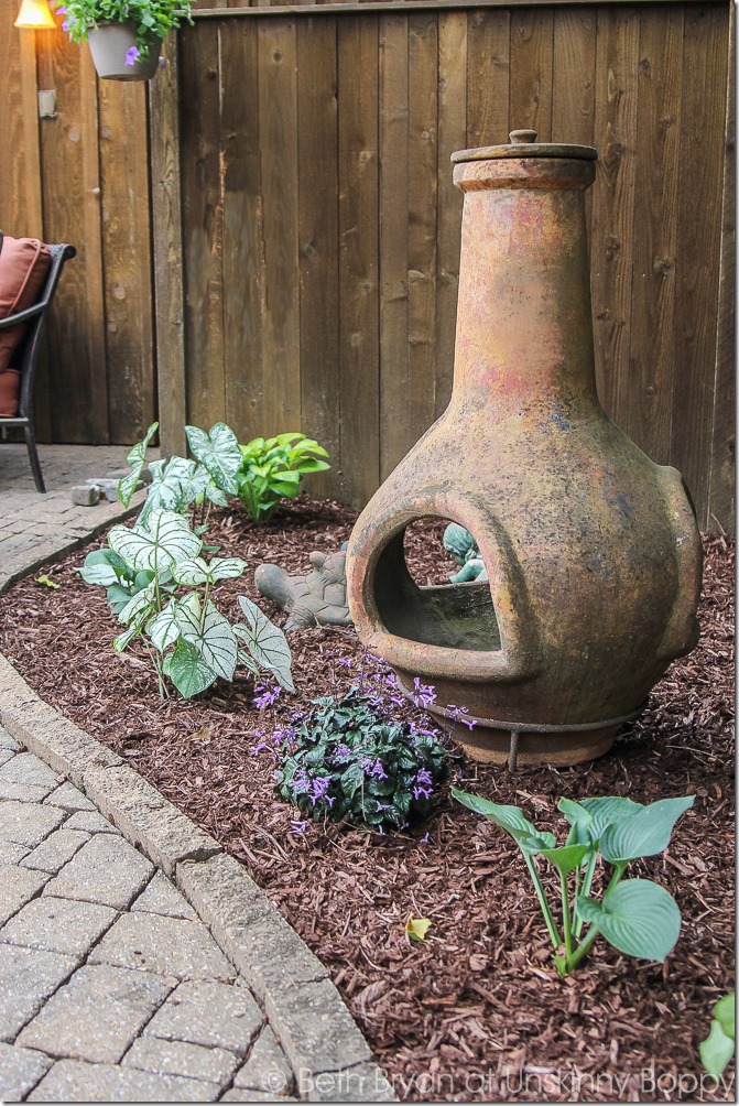 Pretty planters in the courtyard