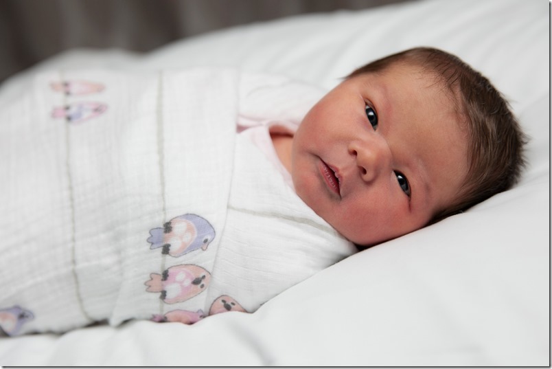 Caroline's Newborn Photos-6