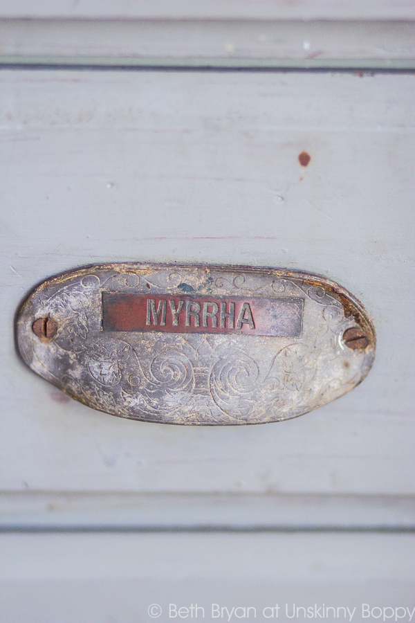 Myrrha drawer pull on apothecary cabinet